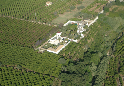 Agriturismo Appartamento Cuore Di Palme Monolocale Con Piscina